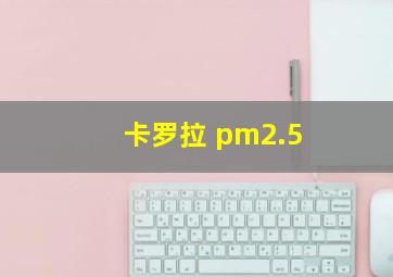 卡罗拉 pm2.5